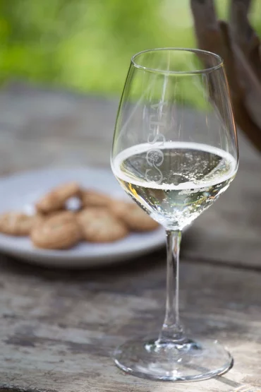 Immagine bicchiere di vino